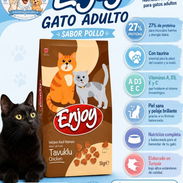 Pienso para gatos - Img 56395466