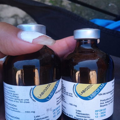 Medicamentos de animales - Img 120054704