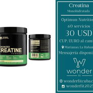 Creatina Monohidratada - Img 58211941