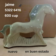 Caballo - Img 55328838
