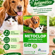Metoclopramida - Img 56977727