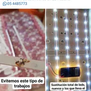 SERVICIO TÉCNICO DE REPARACIÓN DE TELEVISORES A DOMICILIO___ 54485773 - Img 51269540