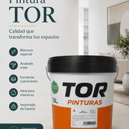 M-🔥 THOR 15 L – PINTURA ESPAÑOLA, BLANCURA Y GRAN COBERTURA – 55 USD 🔥 - Img 57017506