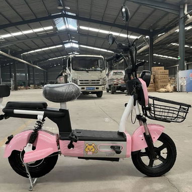 🛴Patinetas Eléctricas CHALLENGER ELEGANT 0km🛴 - 6/7