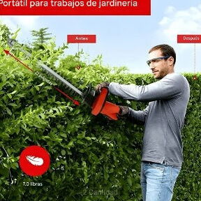 Podadora, corta setos. - 2/3