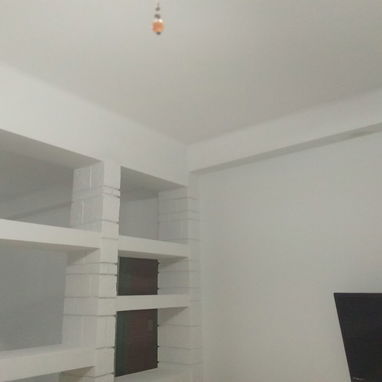 Albañil profesional y pintor. - 8/10