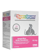 Amoxicilina 50mg para perros y gatos - Img 55215903