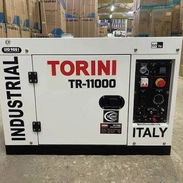 Grupo electrógeno marca Torini 7500watts de petróleo⛽️ stock - Img 56846684