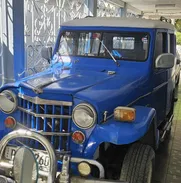 Se vende willy pisicorre - Img 50078548