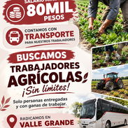 BUSCAMOS TRABAJADORES AGRICOLAS - Img 58104897