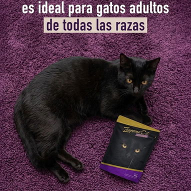 Comida húmeda para gatos - 2/7