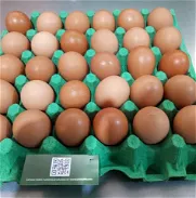 Cajas de huevos compra mínima 10 cajas - Img 46044114