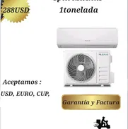 Esplit milexus - Img 50454681
