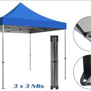 Carpas 3x3 - Img 58490349