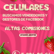 GESTORES DE VENTA - Img 55038119