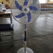 Ventilador Eko - Img 56575882