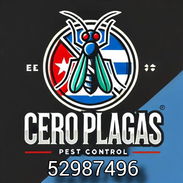 Ceroplagas - Img 54888541