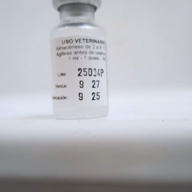 en venta vacuna contra el parvovirus canino 800 cup - 2/2