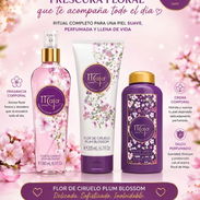 CREMA,TALCO Y FRAGANCIA MAJA,FLOR DE CIRUELO - Img 58065489