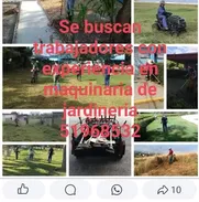 Se Buscan Trabajadores - Img 49662242