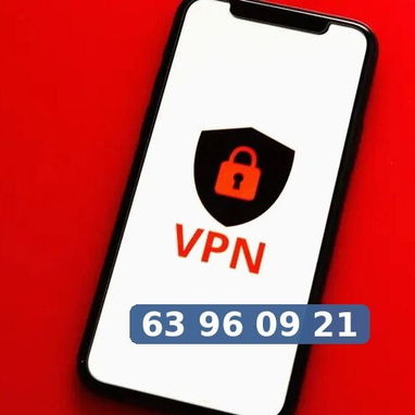 Servicio VPN 1 Año - 3/3