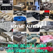 ●Directamente con el productor ➡️Wa.me//52989720 ●TRANSPORTE INCLUIDO 🚚 ●UN AÑO DE GARANTÍA ● DIRECTO CON LA EMPRESA - Img 55431921