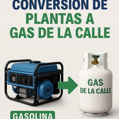 Venta de plantas y Ecoflow - Img 121252236