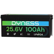 Batería LiFePO4 24V 100Ah (2560Wh) Dyness con BMS 100A - Img 56805912