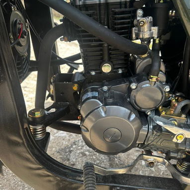 Triciclo de combustión 300cc con chapa - 5/5