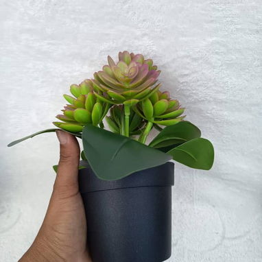 Planta artificial decorativas 15 USD descripción 👇 Casa viva - Img 119896143