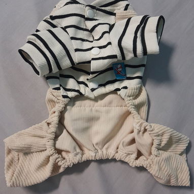 Ropa d perro chihuahua - Img 123014215