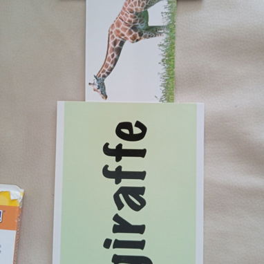 Vendo juego de tarjetas para  enseñar ingles - Img 126214591