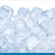 Venta de Bolsas con cubos de hielo - Img 56857009