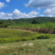 Venta de finca en jaruco mayabeque pago en euros - Img 57117046