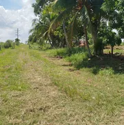Se vende casa en el pilar - Img 50897670