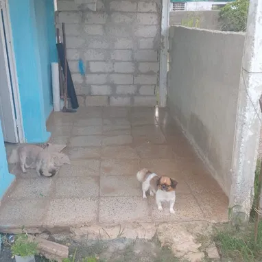 Se vende - Img 122342444