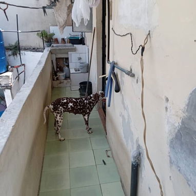 Permutas o venta  casa  de tres cuartos con sala cocina lavadero placas libre - 6/10