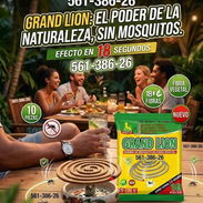 Espirales para mosquitos - Img 56977609