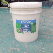 Pintura Impermeable Mexicana - Img 55652443