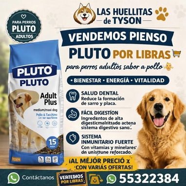 veterinaria a domicilio - Img 122676014