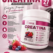 Creatina B.Nova - Img 57753695