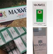 Cigarros Maxwell mentolados sin cápsula - Img 45940012
