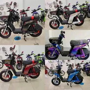 BICIMOTO TOPMAQ EVOLUTION 2026 - Img 56879932