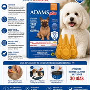 Pipeta original tipo Frontline para perros - Img 56214213