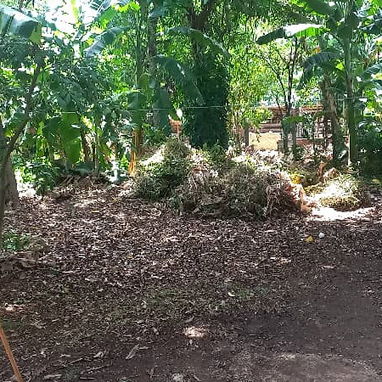 VENDO CASA CON TERRENO GRANDE EN MARTI, PROVINCIA MATANZAS. - 5/9