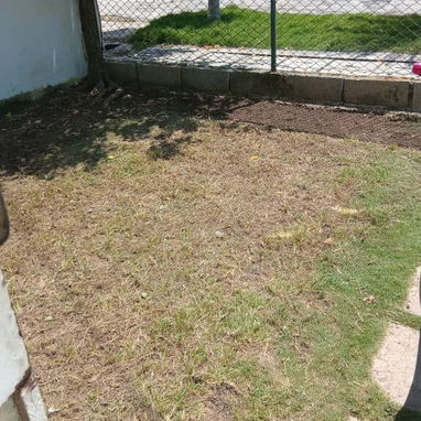 Servicio de jardinería 👩🏼🌾 - Img 127441447
