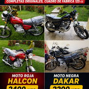 Motos con chapas - Img 56967982