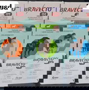 Bravecto mensual - Img 50259666