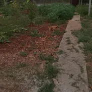 Venta de casa con patio grande me puedo ajustar un poquito más - Img 55407460