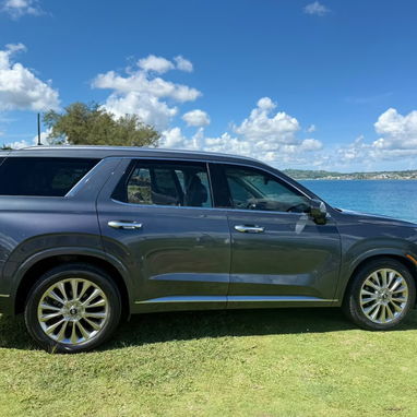 Hyundai palisade 2020 limited en venta - 2/10